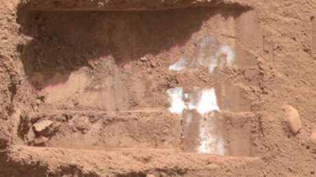 Микробы или их ДНК могут выжить в марсианском льду: будущее исследование ровер с возможностью поиска жизни