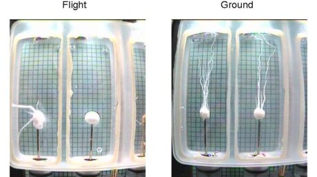 Смысл жизни: как найти значение в повседневных вещах