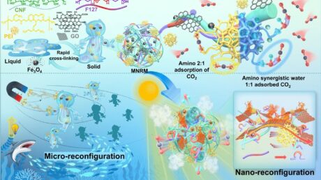Вдохновленные косяками рыб: новый магнитный материал для поглощения углекислого газа