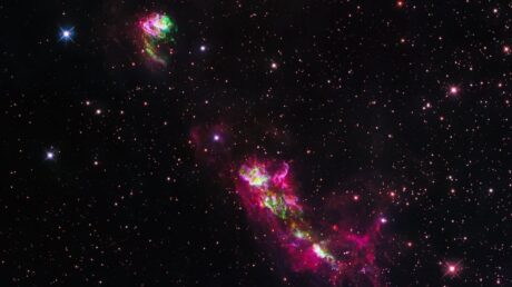 Когда звёздочки малыши устраивают истерики